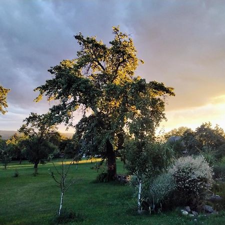 Gemuetlichkeit Am Vierkanthof - Apartment 1 Worterberg Εξωτερικό φωτογραφία