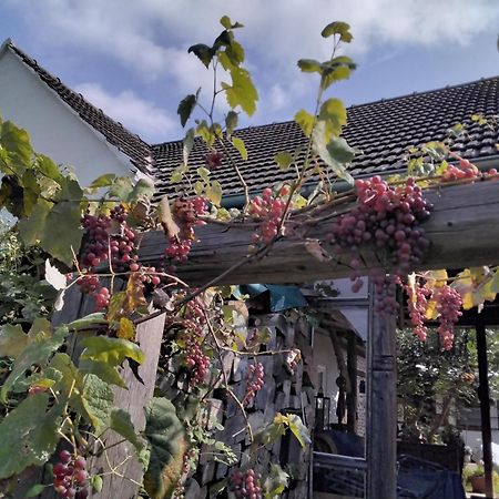 Gemuetlichkeit Am Vierkanthof - Apartment 1 Worterberg Εξωτερικό φωτογραφία