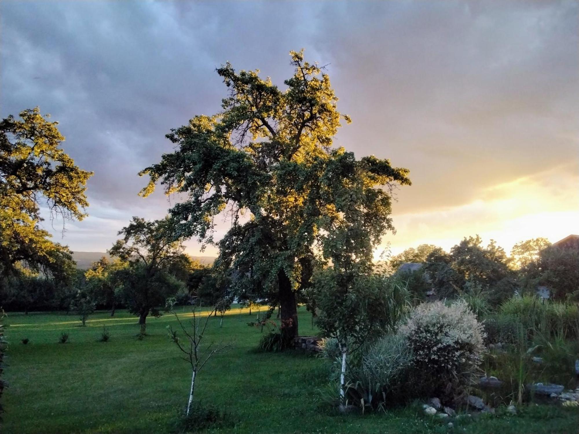 Gemuetlichkeit Am Vierkanthof - Apartment 1 Worterberg Εξωτερικό φωτογραφία