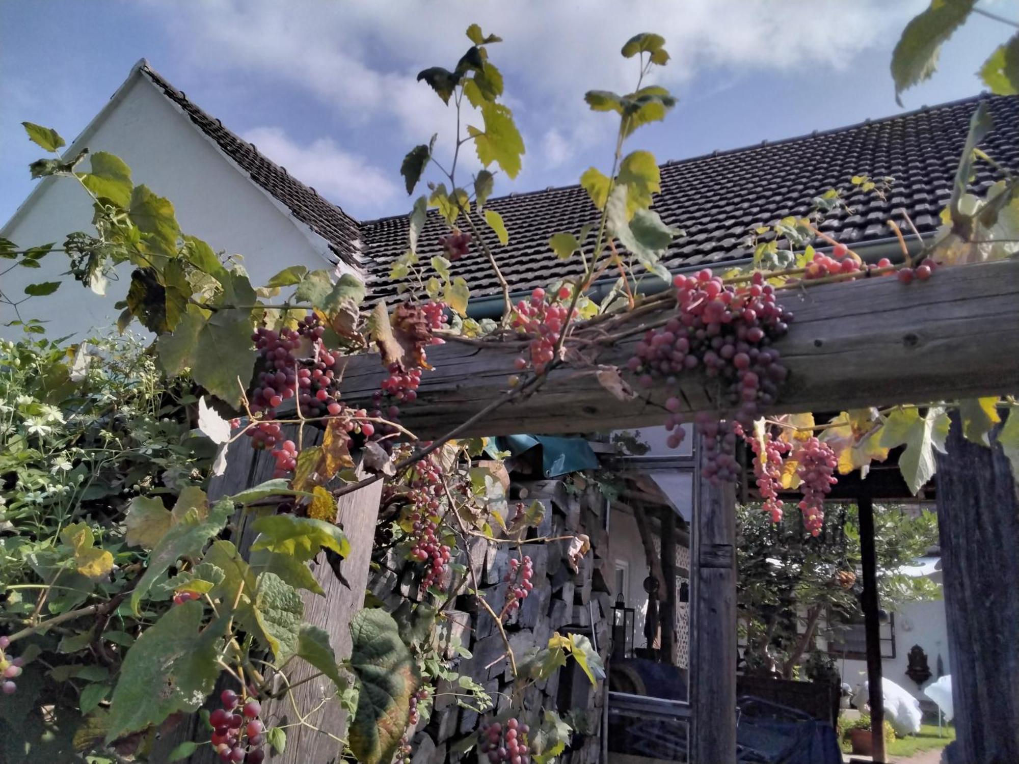 Gemuetlichkeit Am Vierkanthof - Apartment 1 Worterberg Εξωτερικό φωτογραφία
